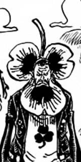 clovergaleria3.jpg