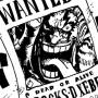 rocksh1.jpg