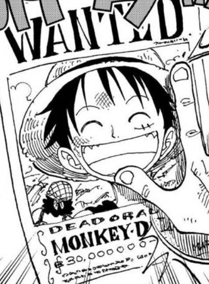 luffybounty.jpg
