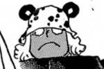 pxkuma.jpg