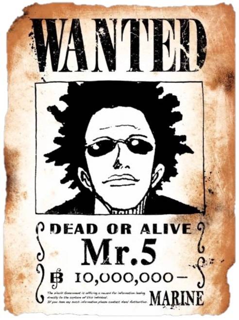 wanted125.jpg wanted125.jpg