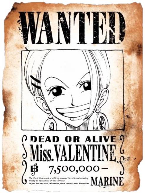 wanted132.jpg wanted132.jpg