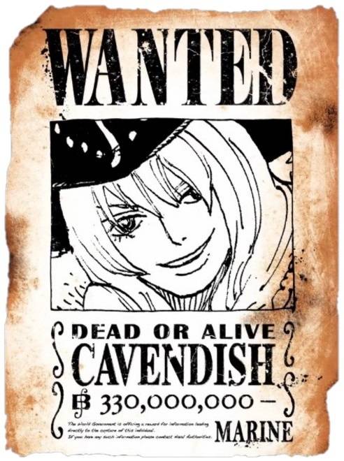 wanted48.jpg wanted48.jpg