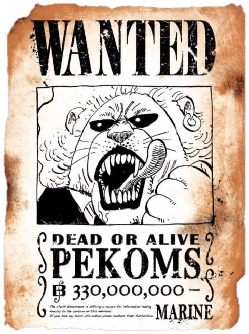 wanted49.jpg wanted49.jpg
