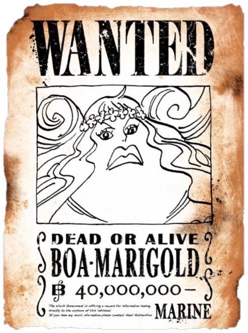 wanted99.jpg wanted99.jpg
