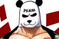 pandamanmini.jpg