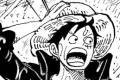luffymini1.jpg luffymini1.jpg